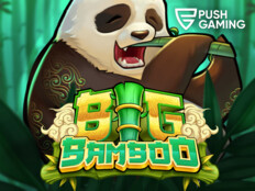 Piggybang casino8